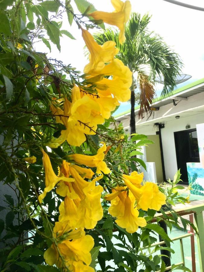 Rawai Whale Resort 外观 照片